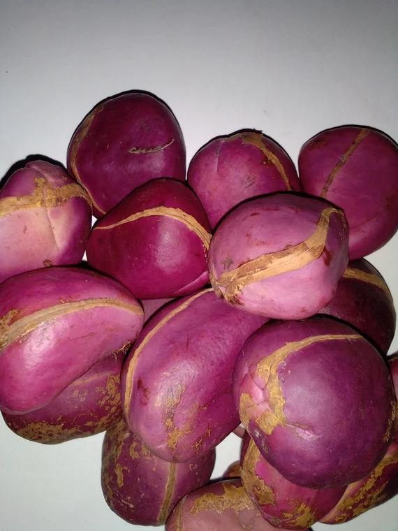 buy kola nut