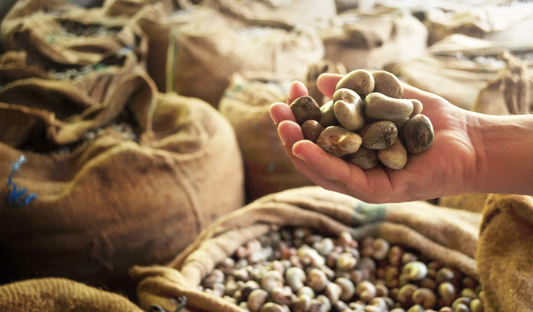 Buy Cashew Nuts